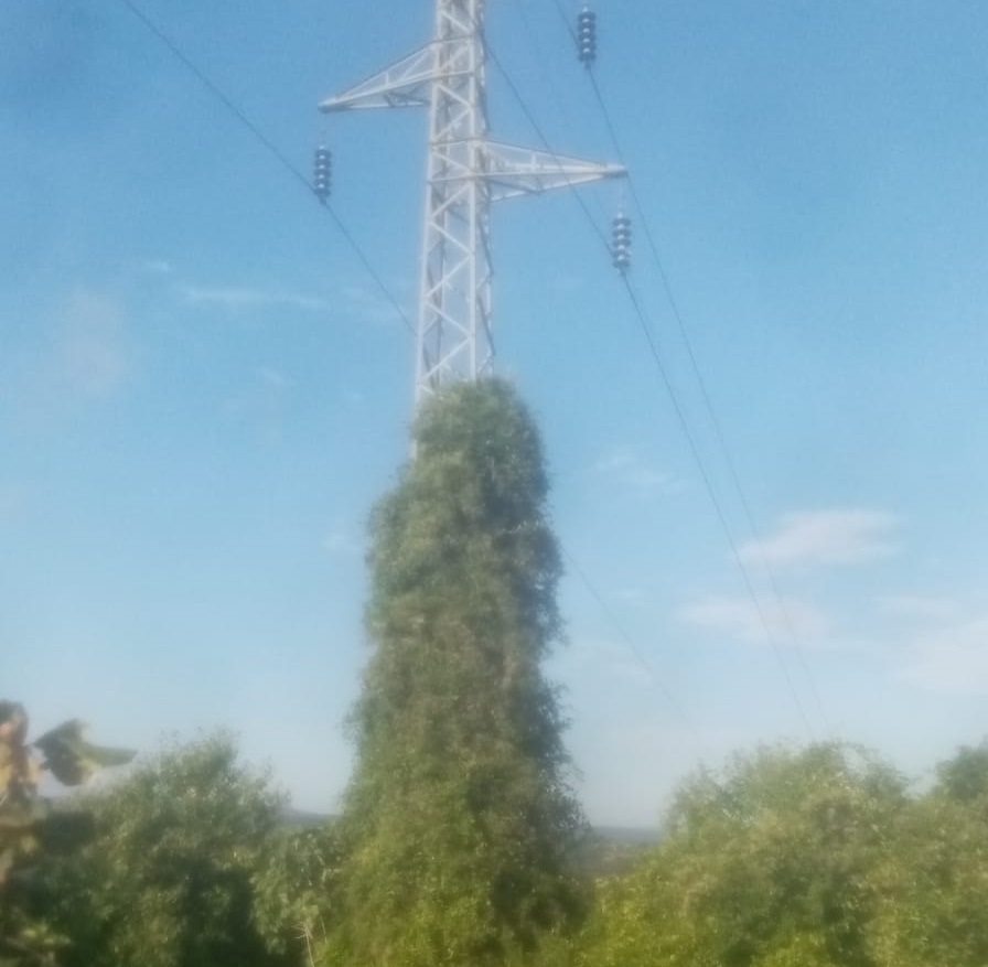 Bir elektrik direği vakası daha!