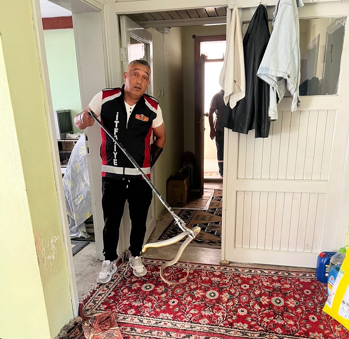 Eve Giren Yılan Paniğe Neden Oldu 